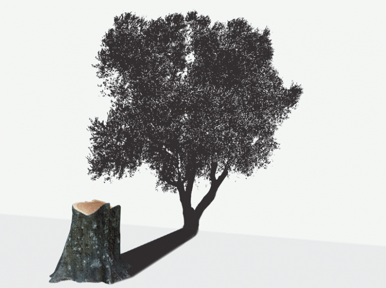 Cerpen | Bupati Mati Tertimpa Pohon Cendana